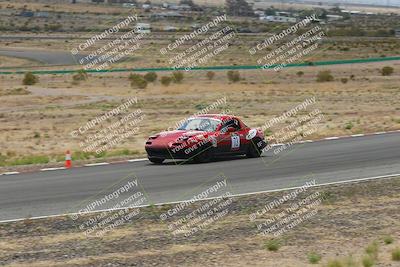 media/May-03-2025-Lucky Dog Racing (Sat) [[206de64b9d]]/Turn 6 (150pm-230pm)/